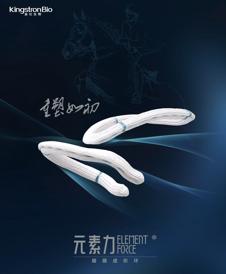 【病例分享】北京安贞医院孟旭团队风湿性二尖瓣修复病例分享（编码 005）