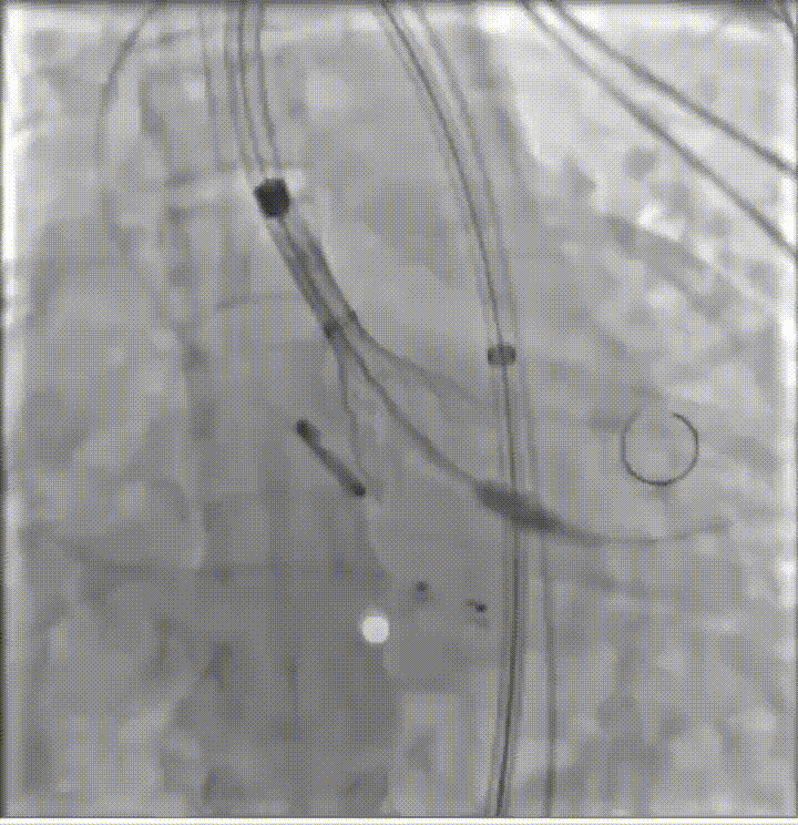 29.gif