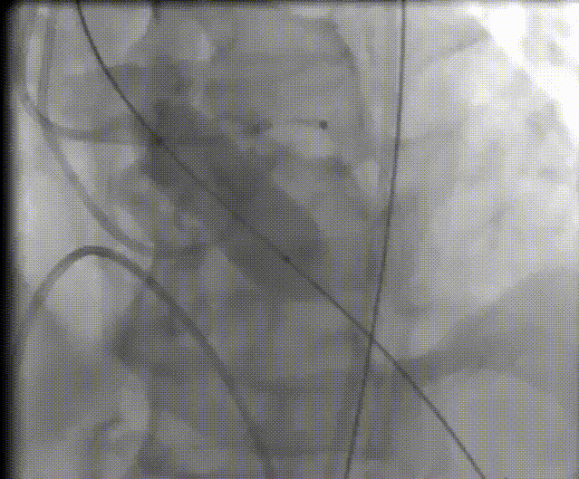 7.gif