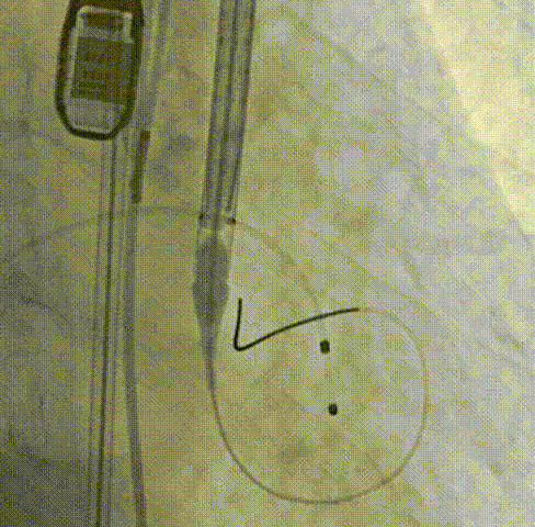 7.gif