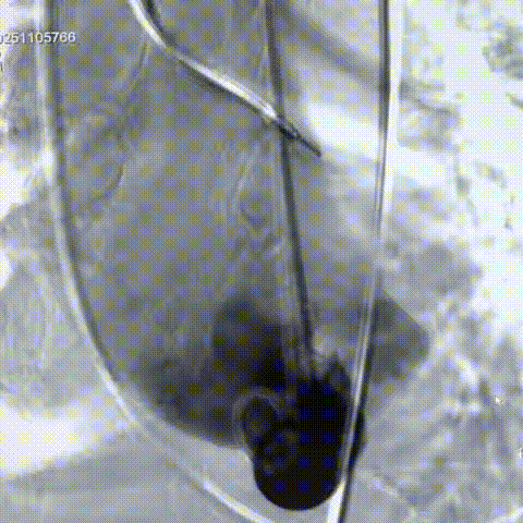 6.gif