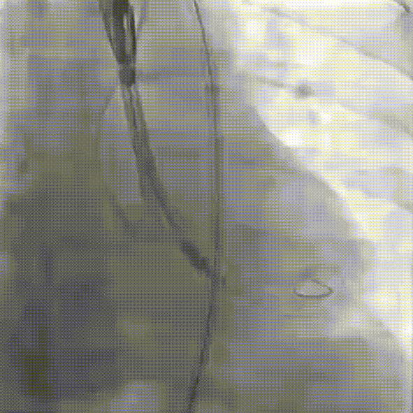 8.gif