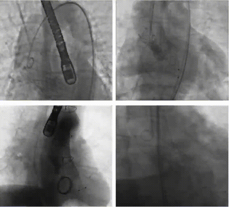 7.gif